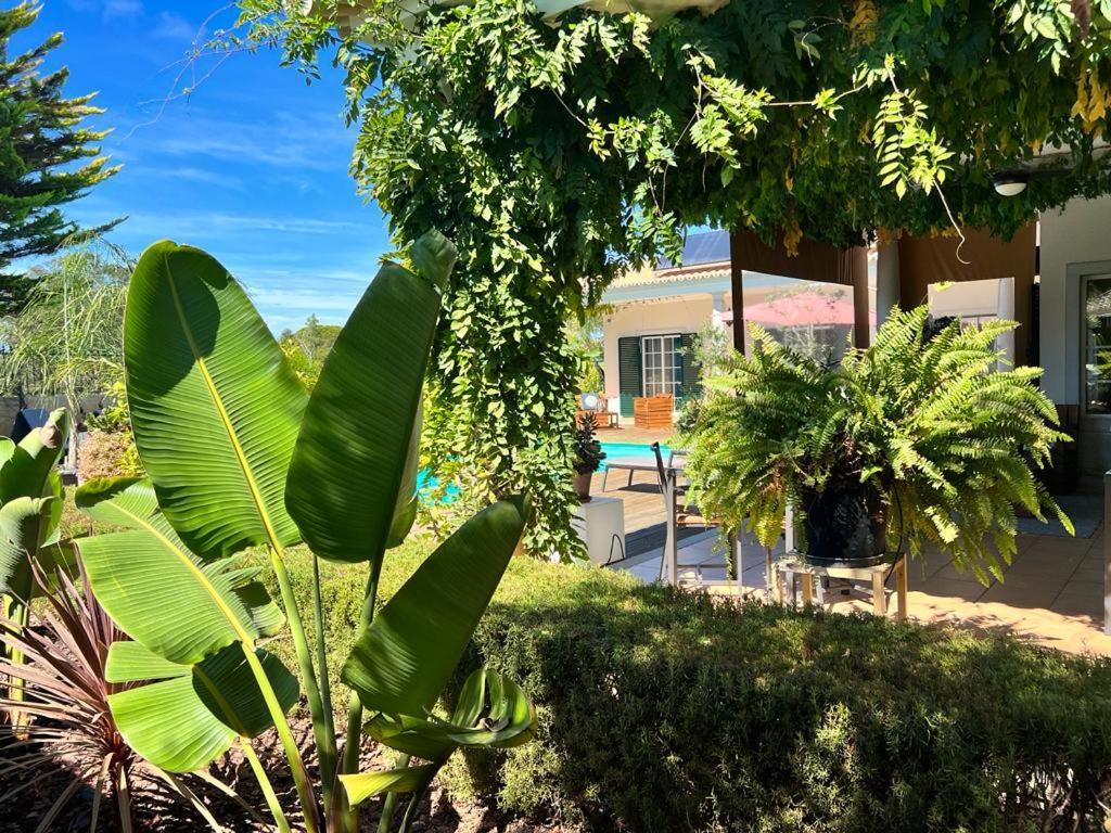ססימברה Buganvilias Do Meco Guest House מראה חיצוני תמונה