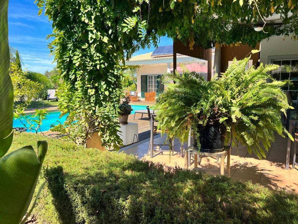 ססימברה Buganvilias Do Meco Guest House מראה חיצוני תמונה